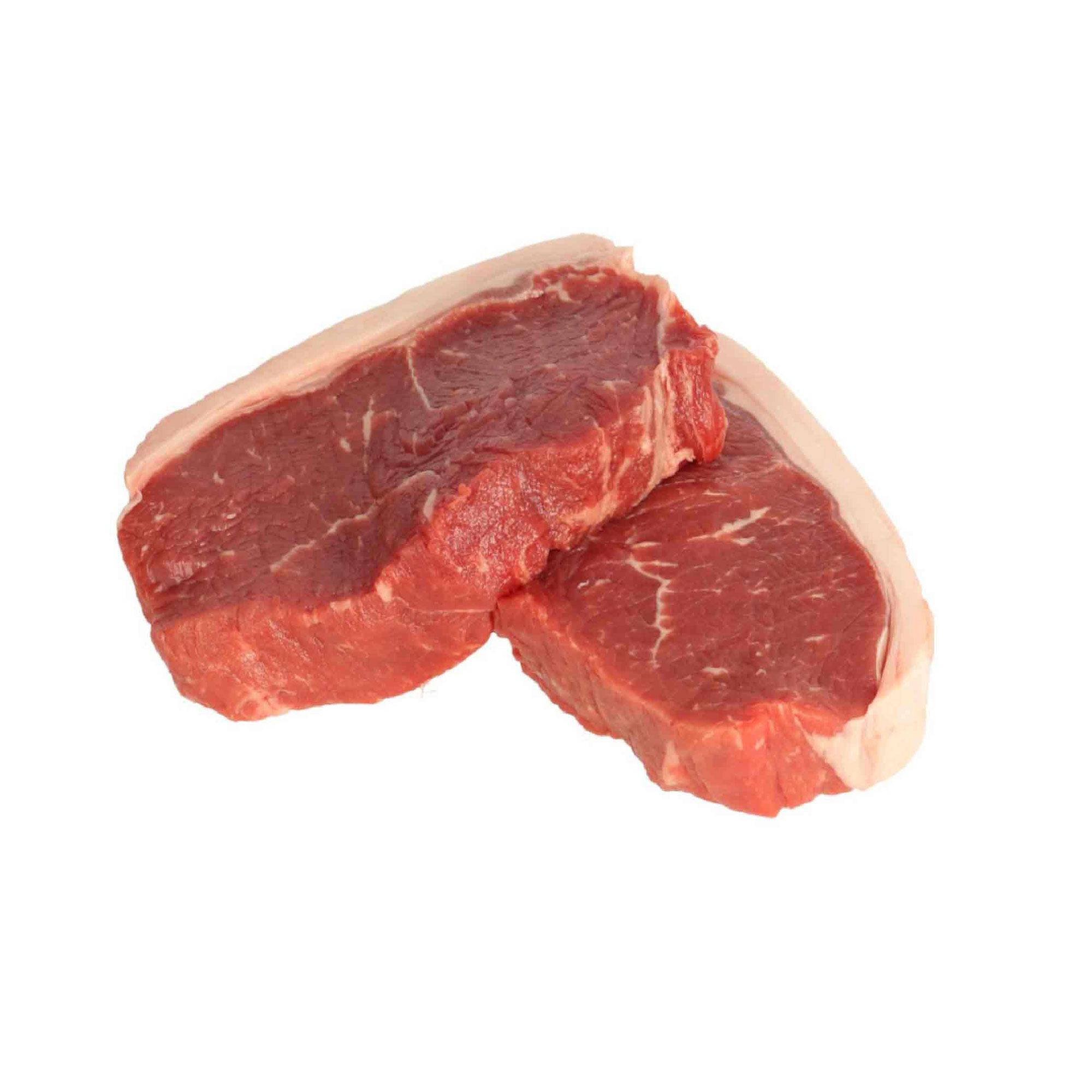 CONTROFILETTO / STRIPLOIN 5+ ARG URIEN LOZA GOLD BMS 4+ FR. - 3