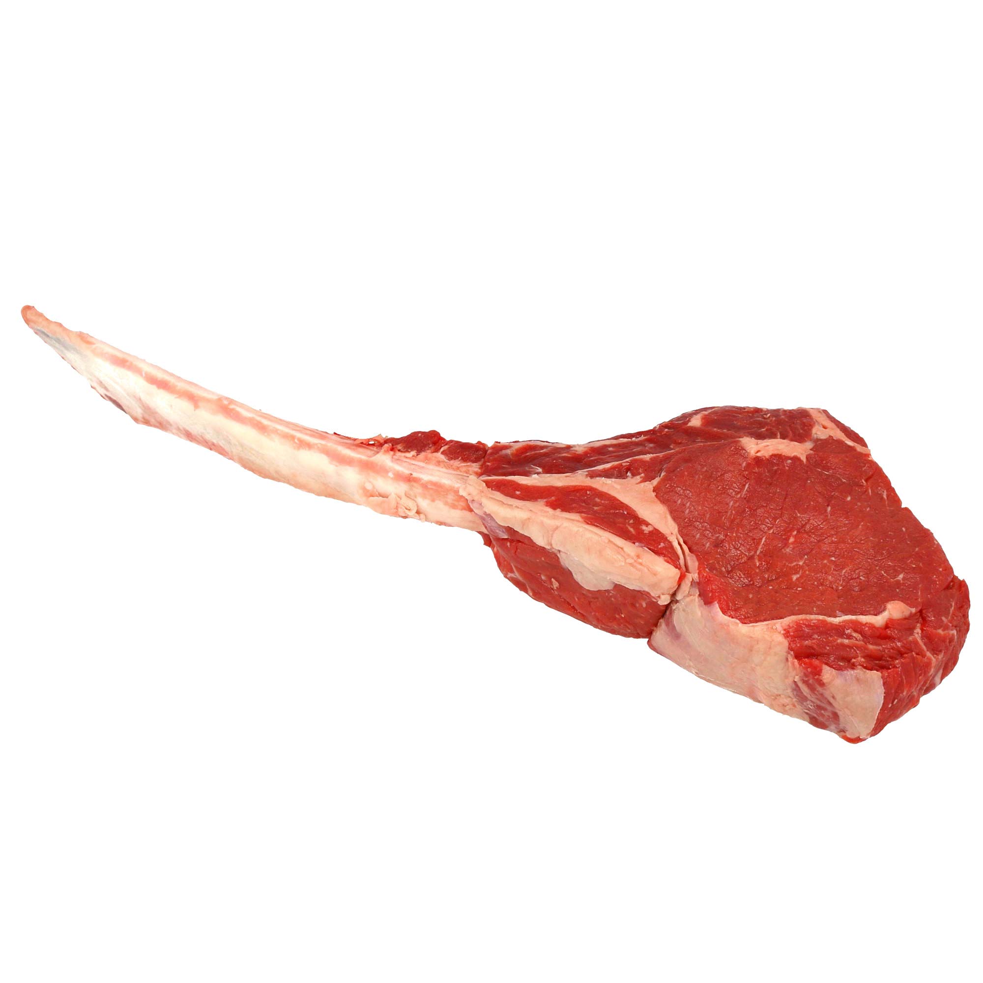 TOMAHAWK <b>BISONTE</b> CND BERETTA (BERVINI) PORZ. FR