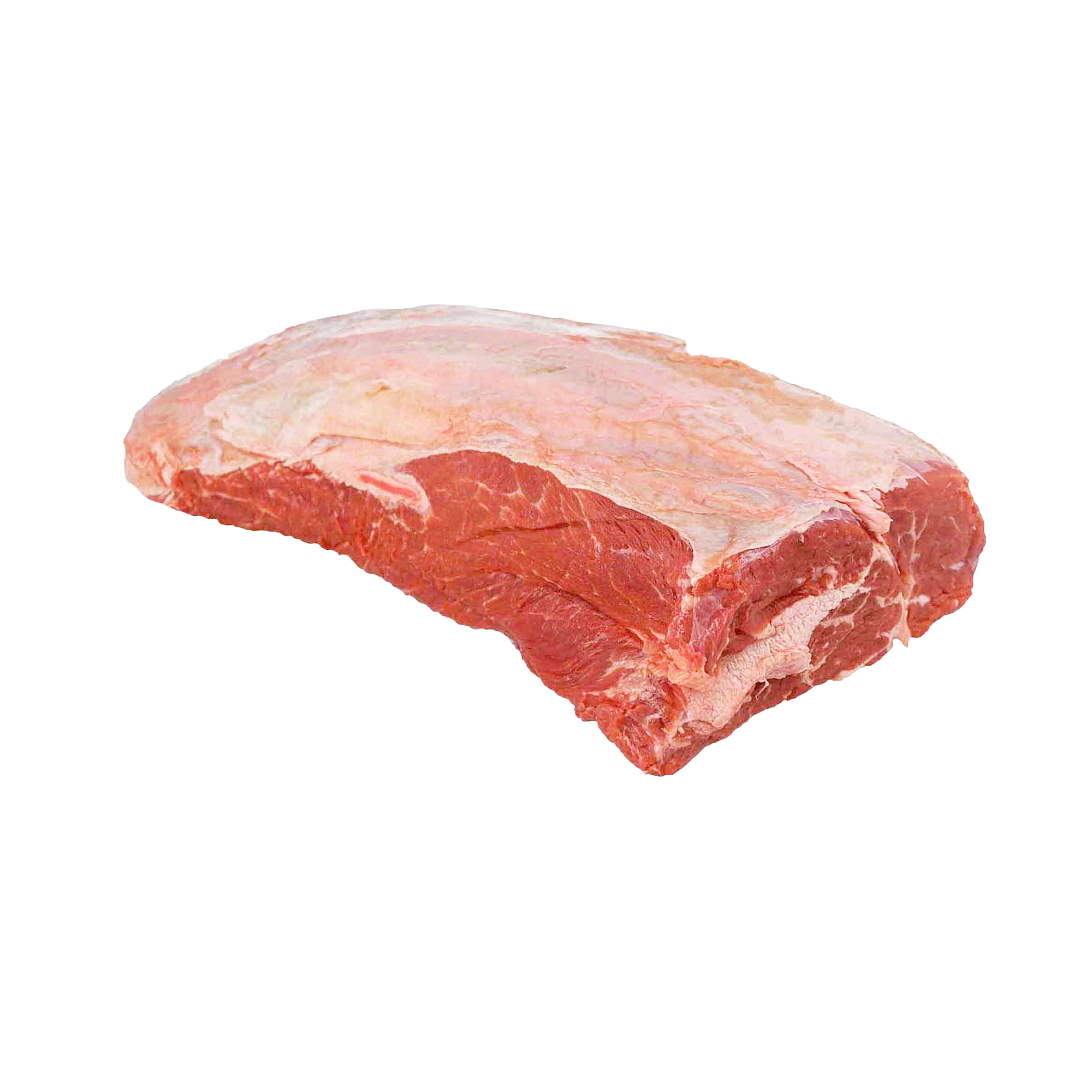 COPERTINA DI SPALLA / TOP BLADE URU UMI (GRAIN ANGUS) FR - 1