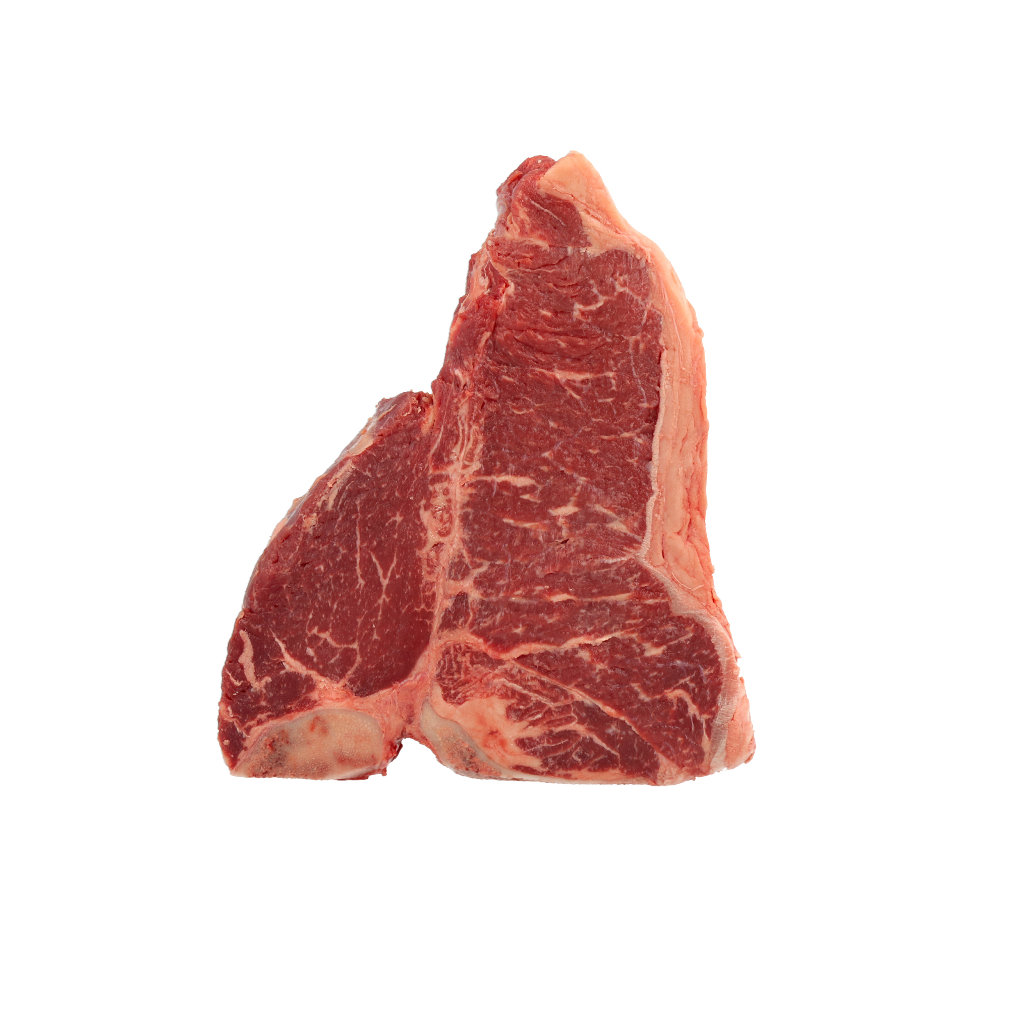 FIORENTINA   SASHI  PRUSSIAN BLACK DIAMOND PORZ 1 KG .  FR