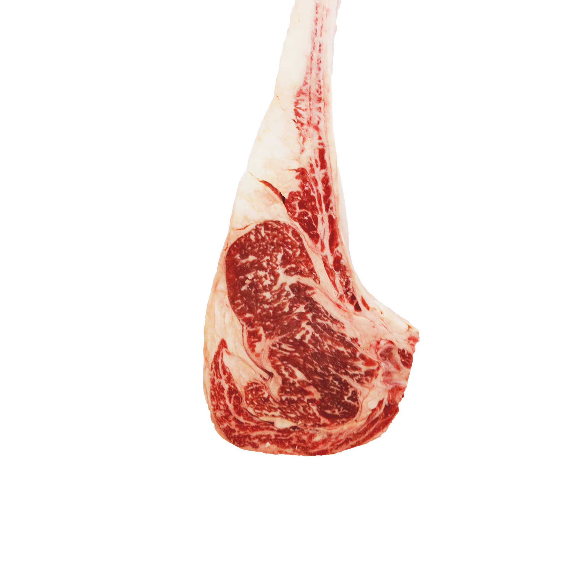 TOMAHAWK 8C WAGYU USA SNAKE RIVER FARMS FR. 9+ (GOLD LABEL) PORZ  FR.