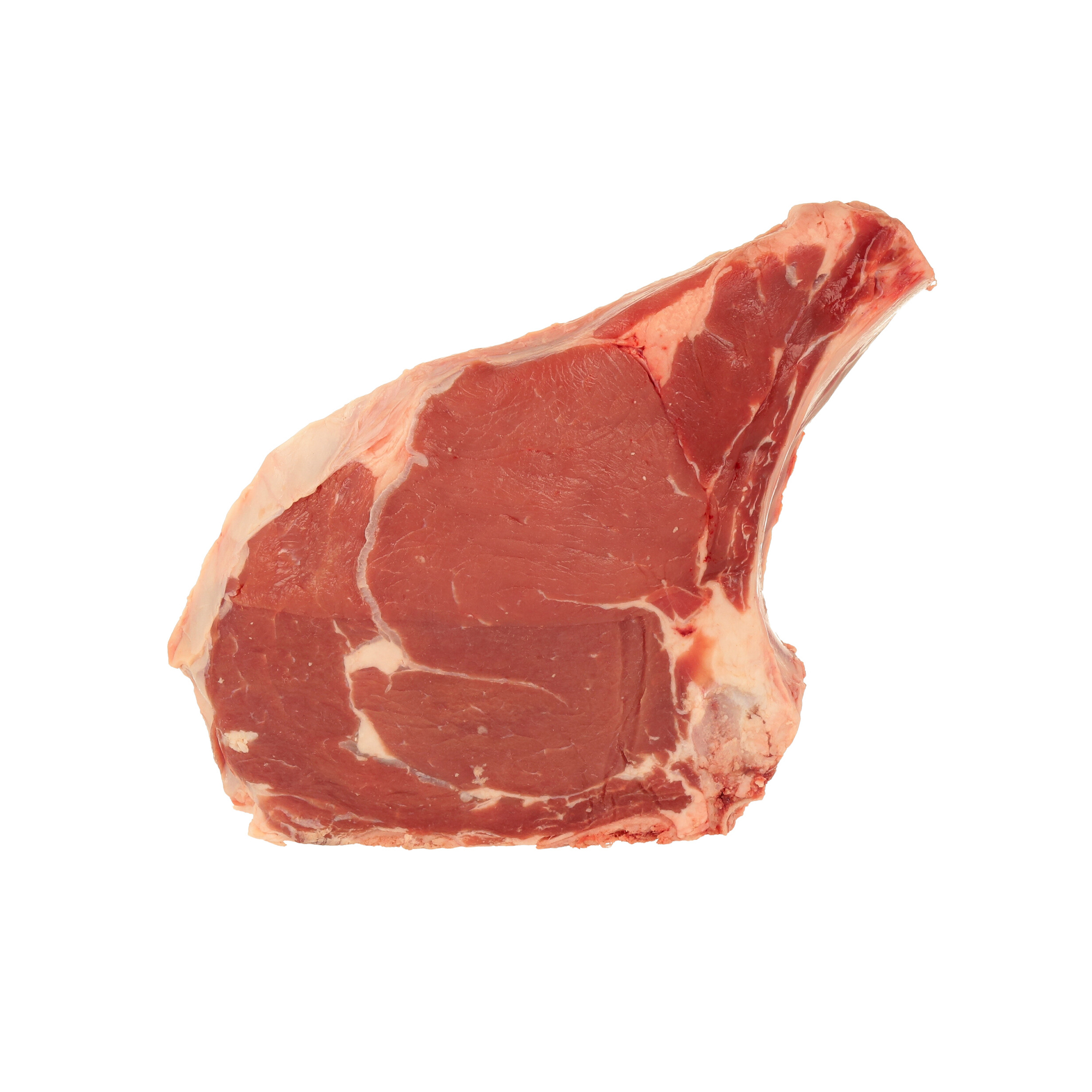 COSTATA <b>BISONTE</b> CND BERETTA PORZ. 1KG FR.