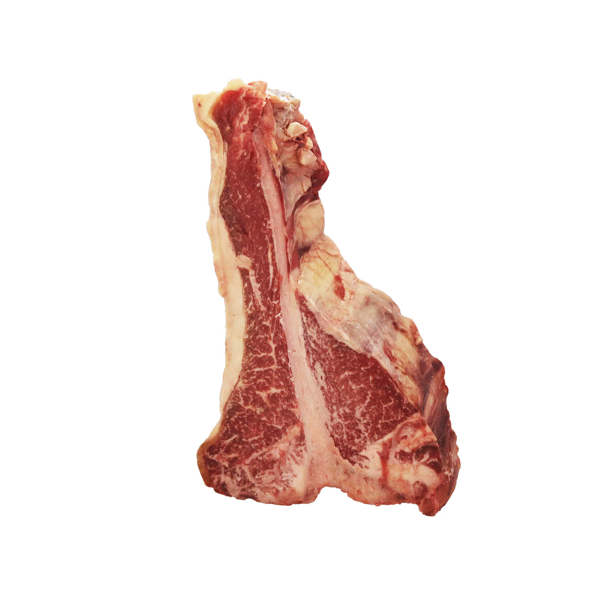 FIORENTINA GALEICA RUBIA GALLEGA PREMIUM   PORZ. FR. - 2