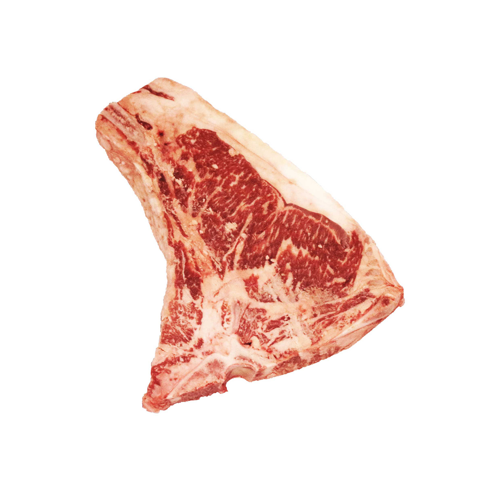 COSTATA F.S.F/ AUS WAGYU KING RIVER (GRAIN FED) (MB 9+) PORZ FR - 1
