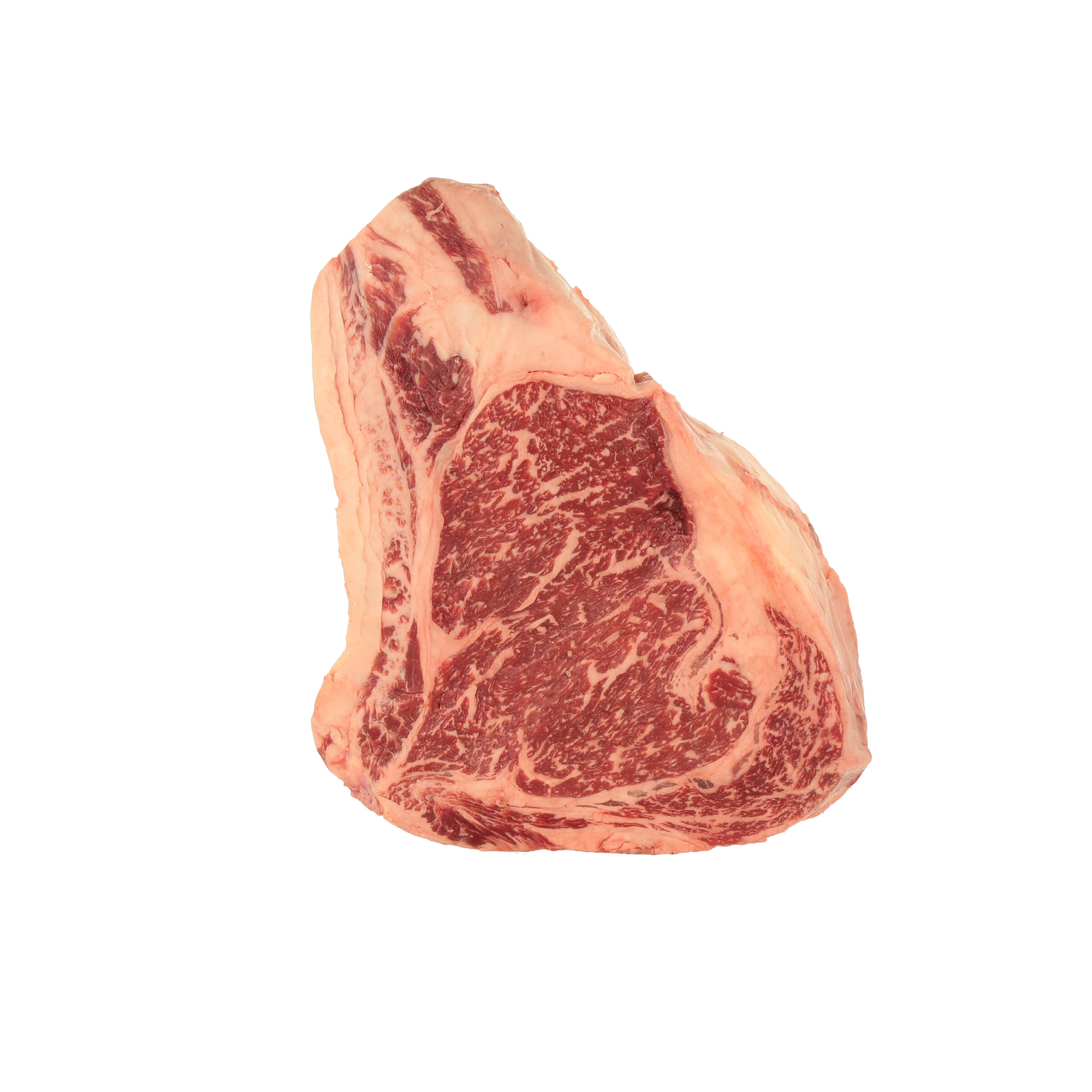 COSTATA / BONE IN RIBEYE USA SNAKE RIVER FARMS Wagyu BMS 9+ sv PORZ 600/800 GR FR.