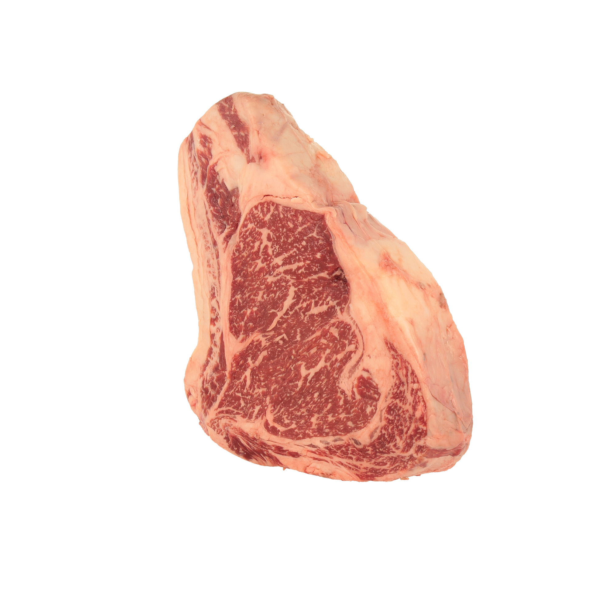 COSTATA / BONE IN RIBEYE USA SNAKE RIVER FARMS Wagyu BMS 9+ sv PORZ 600/800 GR FR. - 2