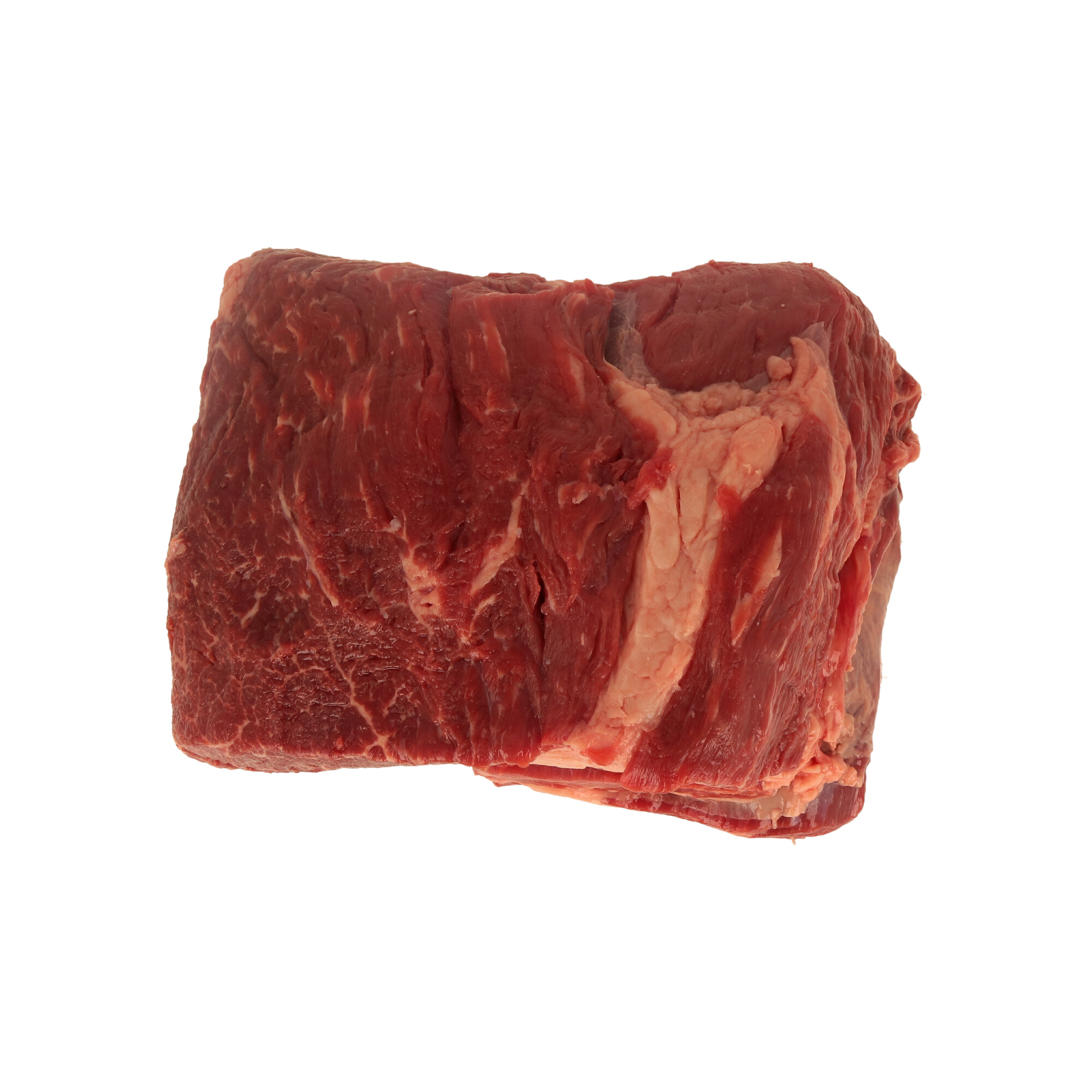 AGUJA / CHUCK EYE ROLL / REALE USA CREEKSTONE (PORZ) FR. - 2