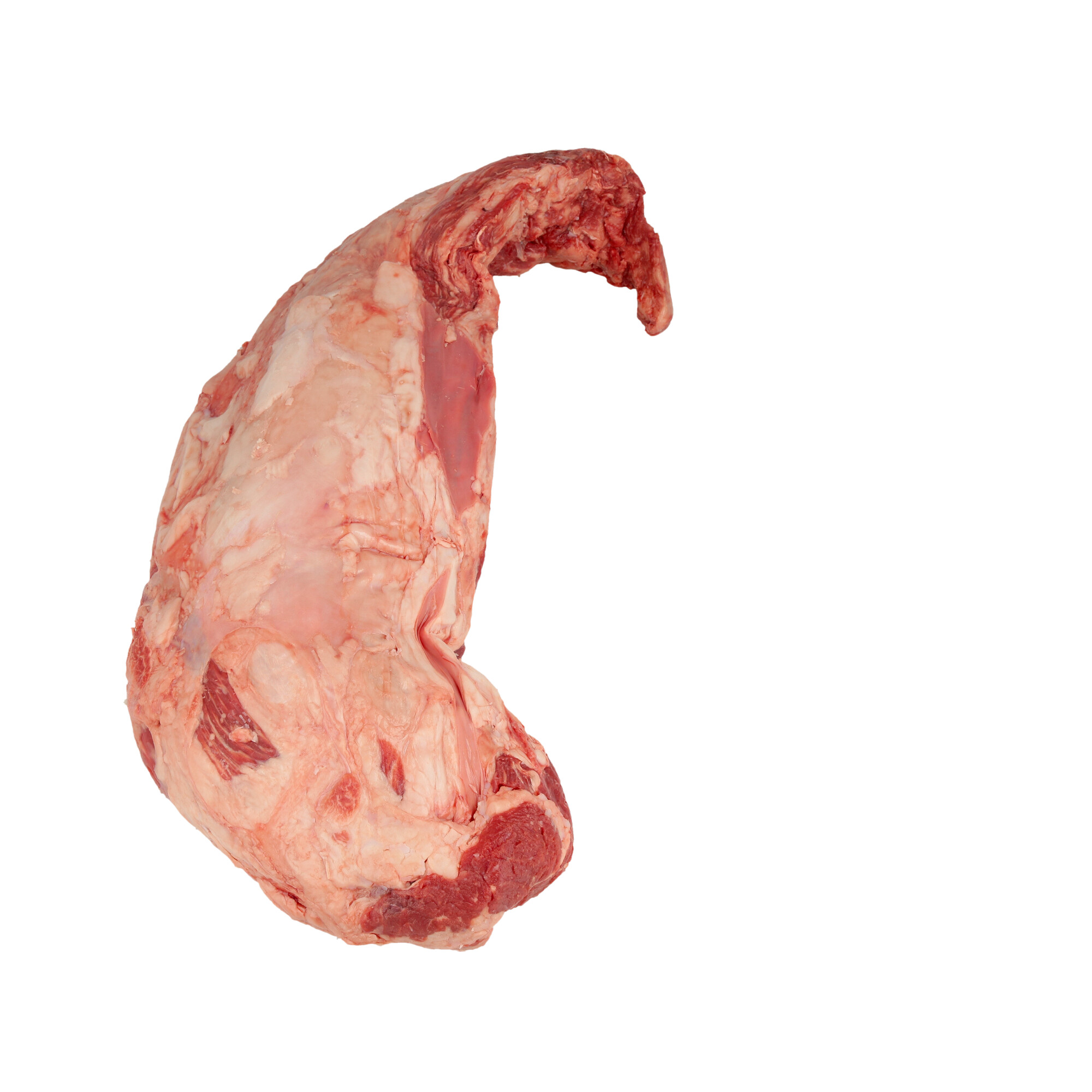 FILETTO / TENDERLOIN  WAGYU JPN KAGOSHIMA A4 FR. - 1